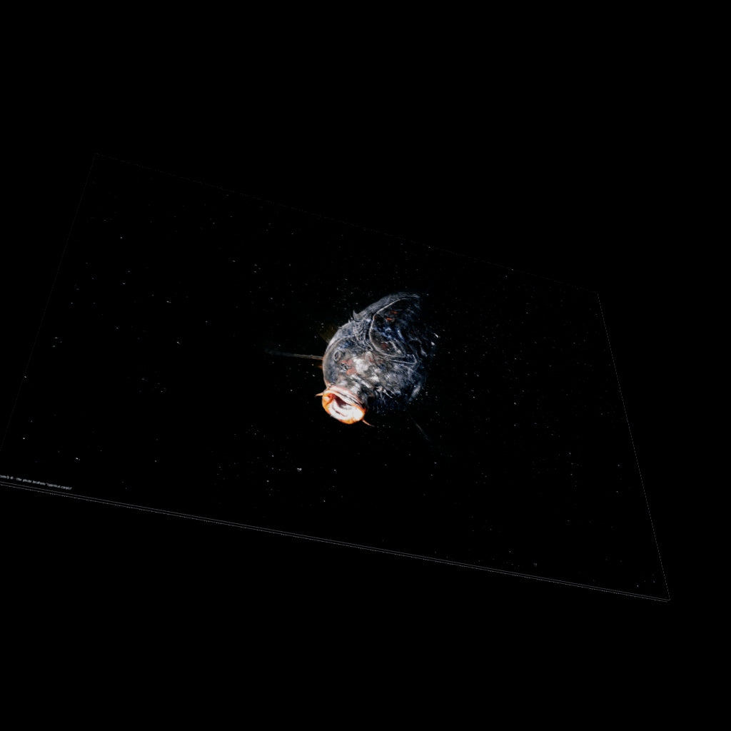 3D View