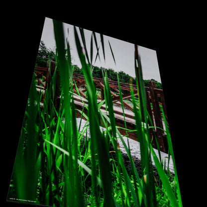 Wall Art "hide and seek"