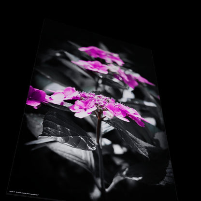 3D View