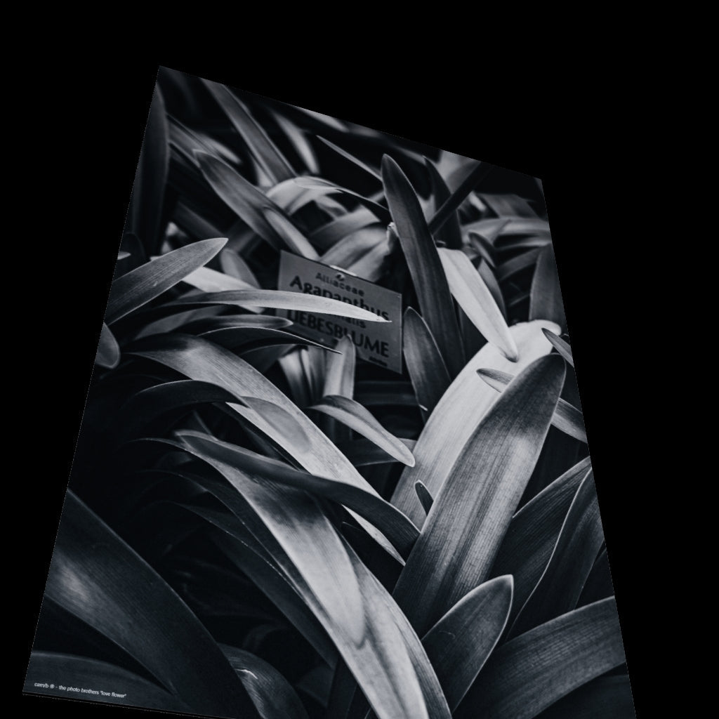 3D View