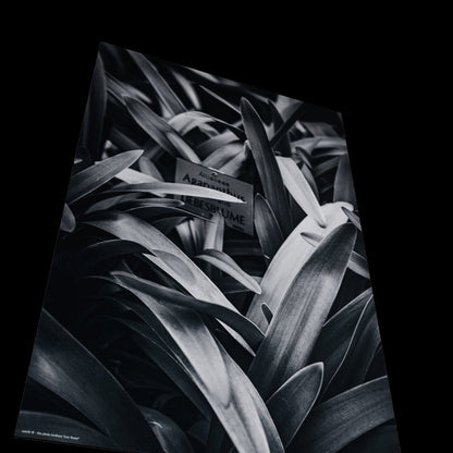 3D View