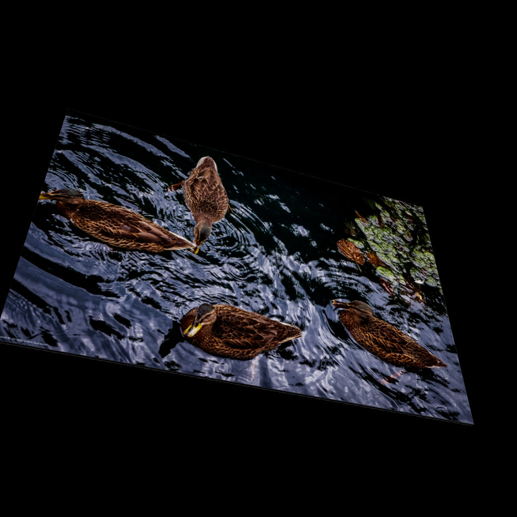 3D View