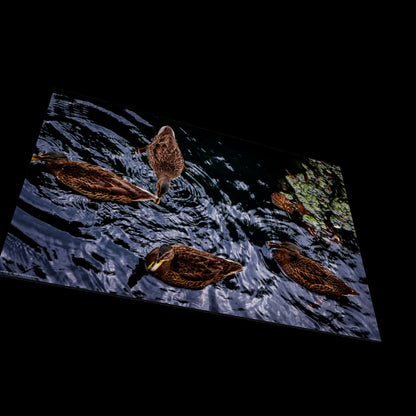 3D View