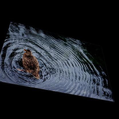 3D View