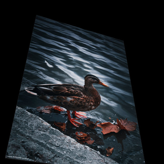 3D View