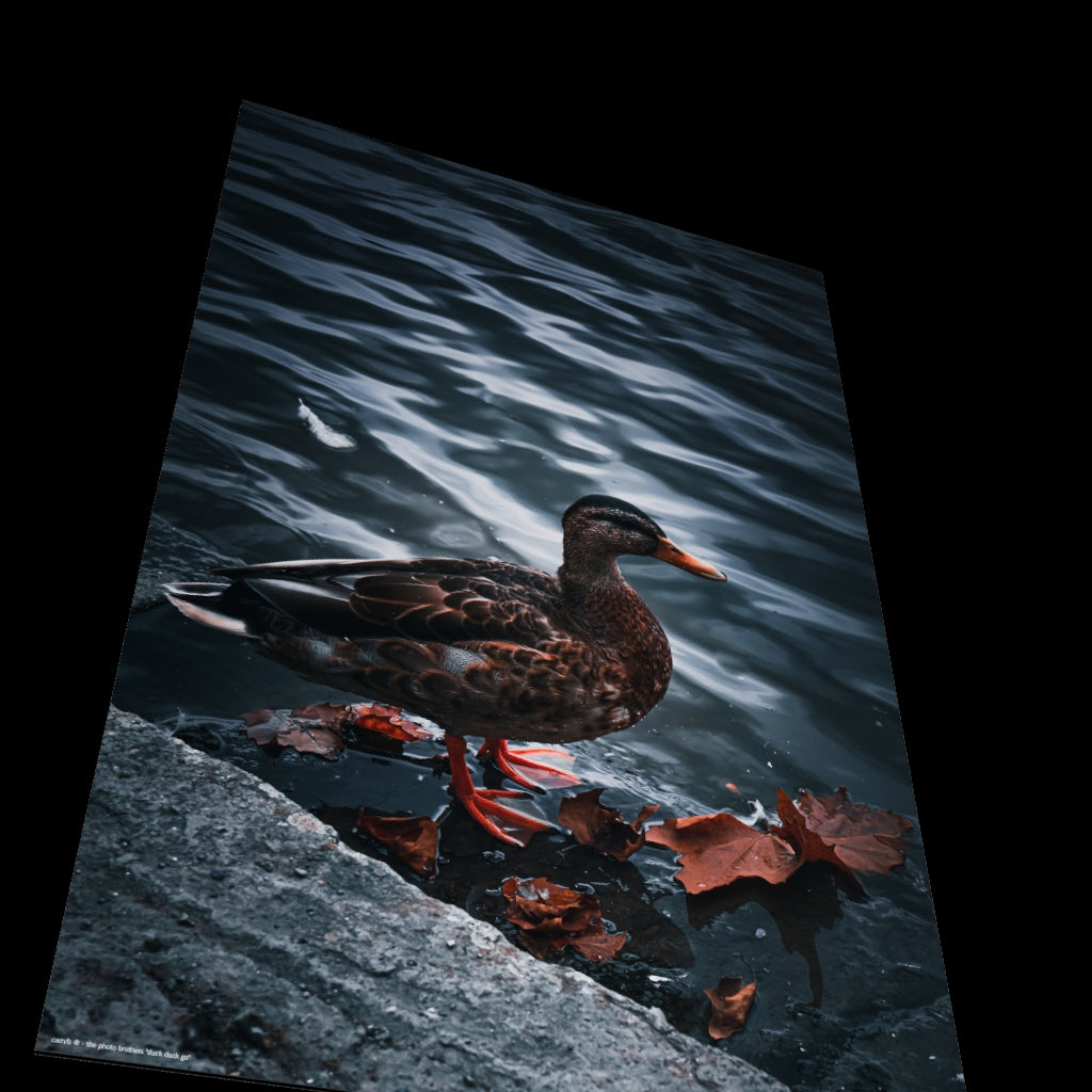 3D View