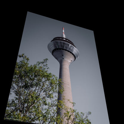 3D View