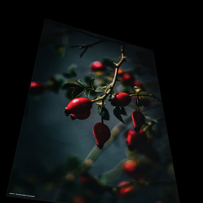 3D View