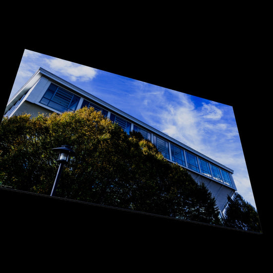3D View