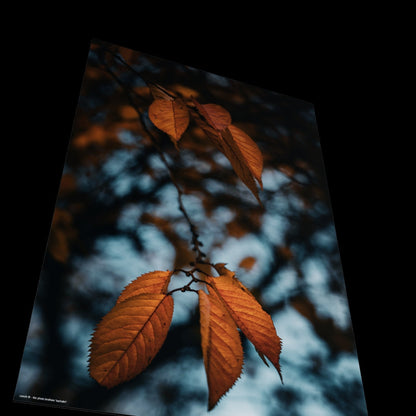 3D View