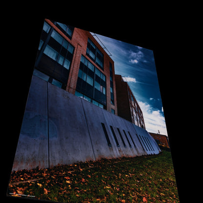 3D View