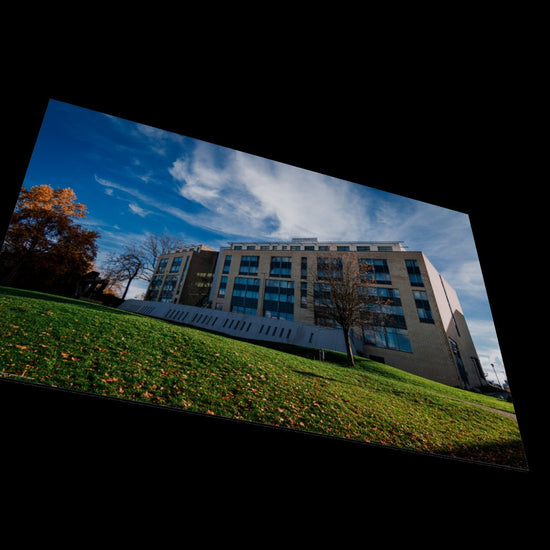 3D View