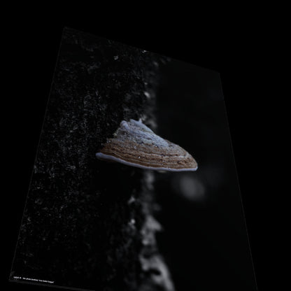 3D View