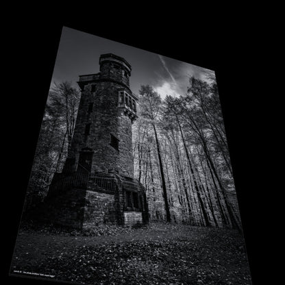 3D View