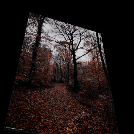3D View