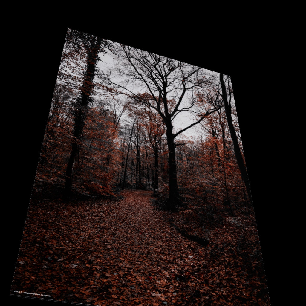 3D View
