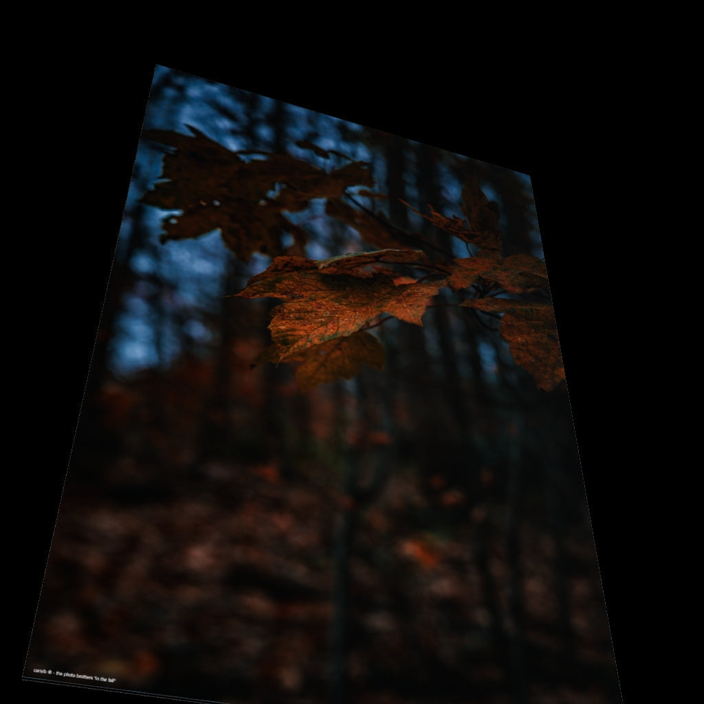 3D View