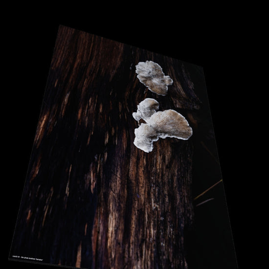 3D View
