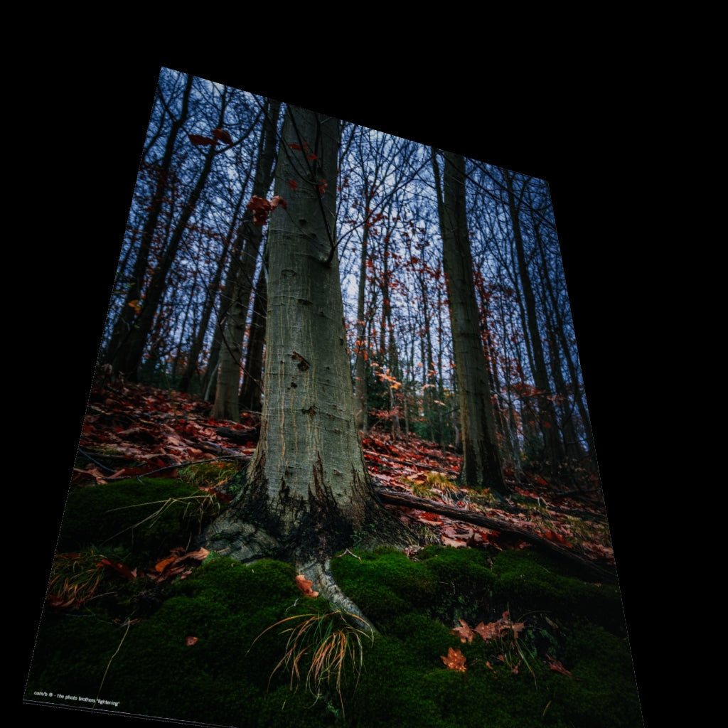3D View
