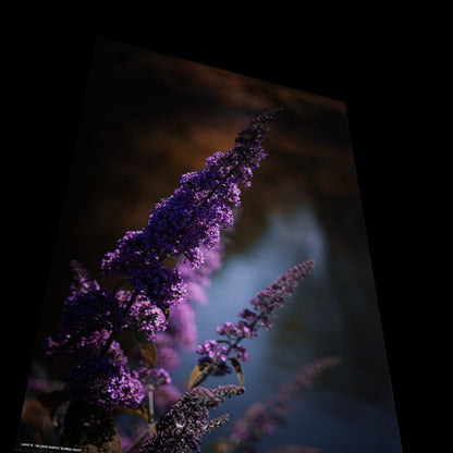Wall Art "buddleja davidii"