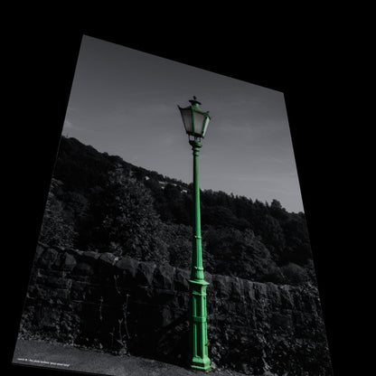 3D View