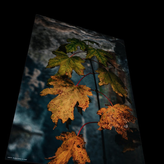 3D View