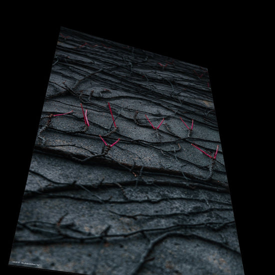 3D View