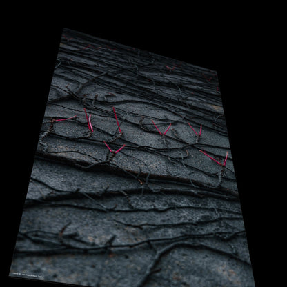 3D View