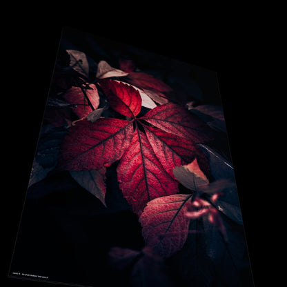 Wandbild "wild wine rl"