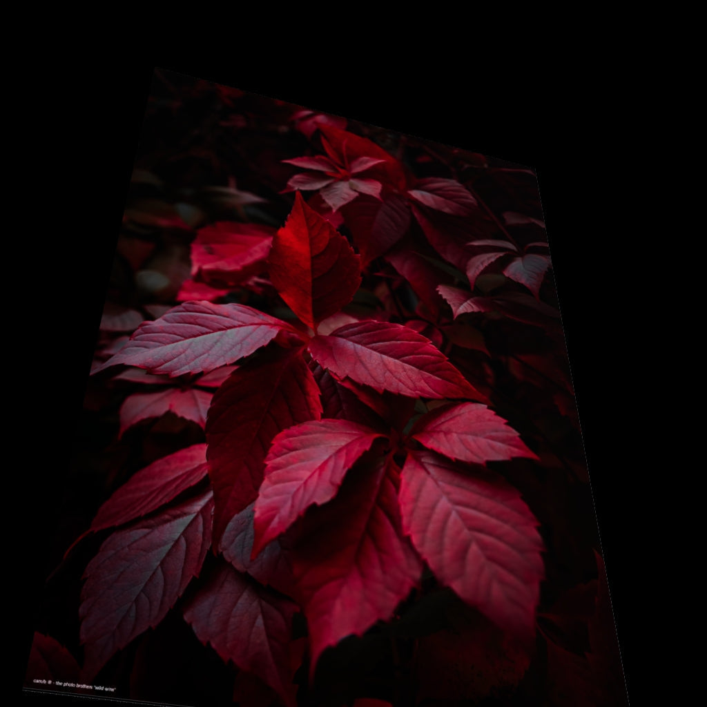 3D View