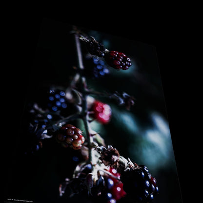 Wall Art "almost over"