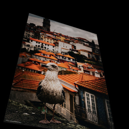 Wall Art "the lookout"