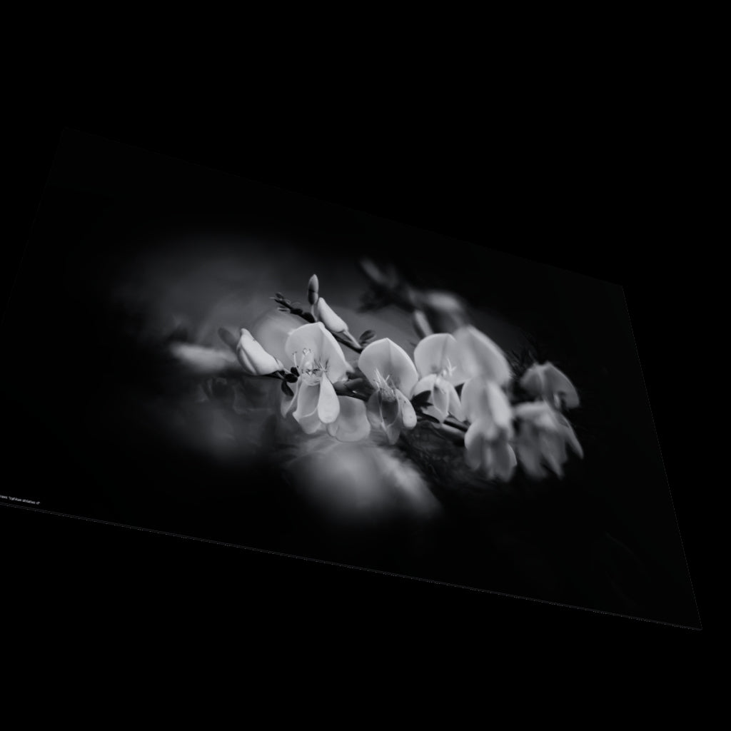 3D View