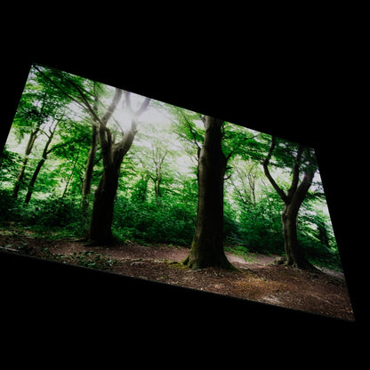 Wandbild "sunrise forest rl"